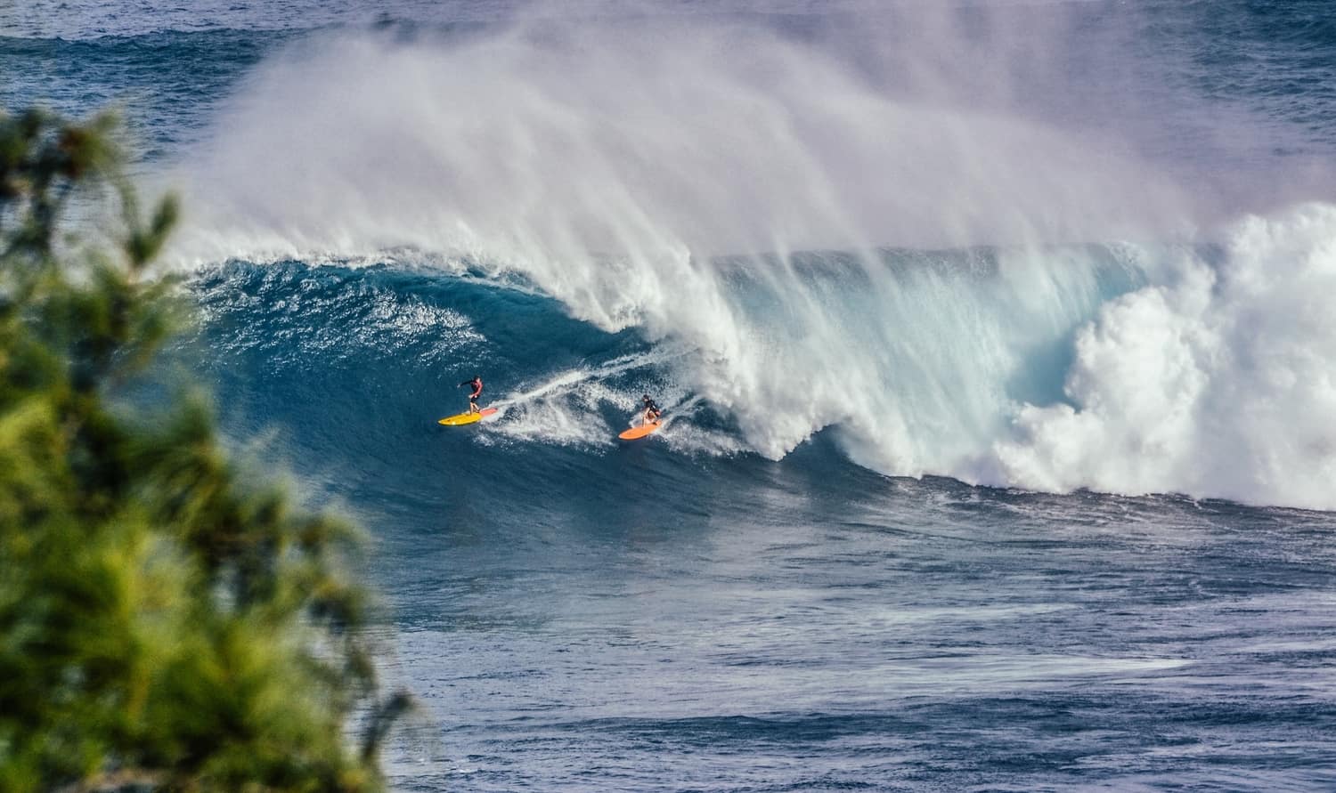 surfers riding on a wave